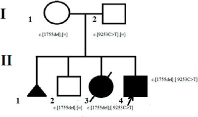 A Mosaic Mutation in the LAMA2 Gene in a Case of Merosin-deficient Congenital Muscular Dystrophy